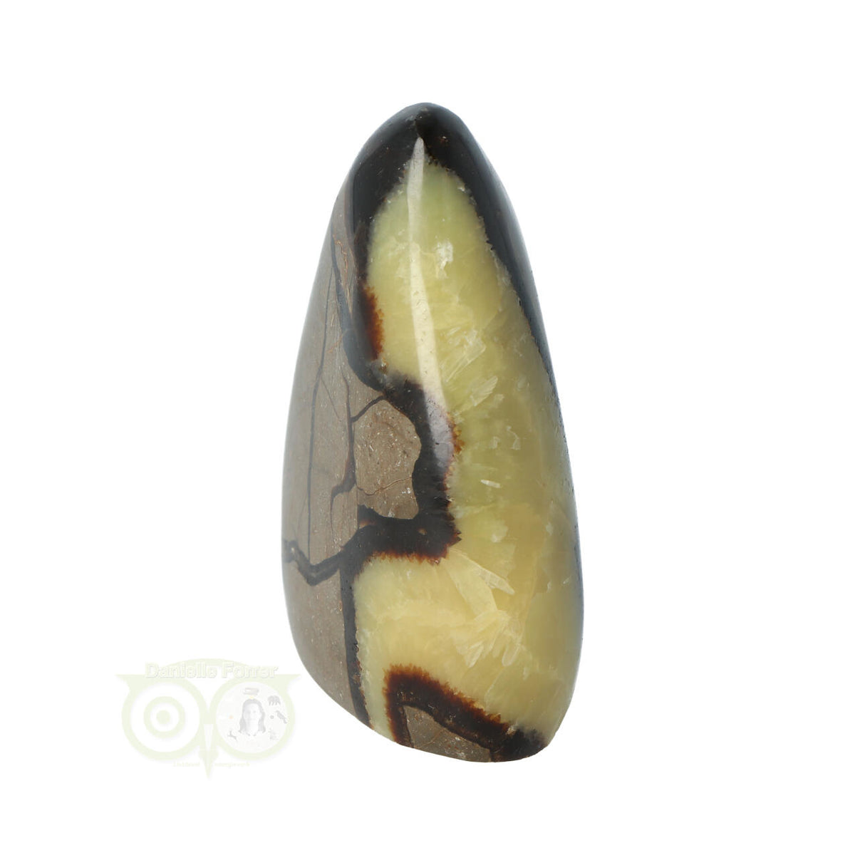 Septarie sculptuur 290 gram