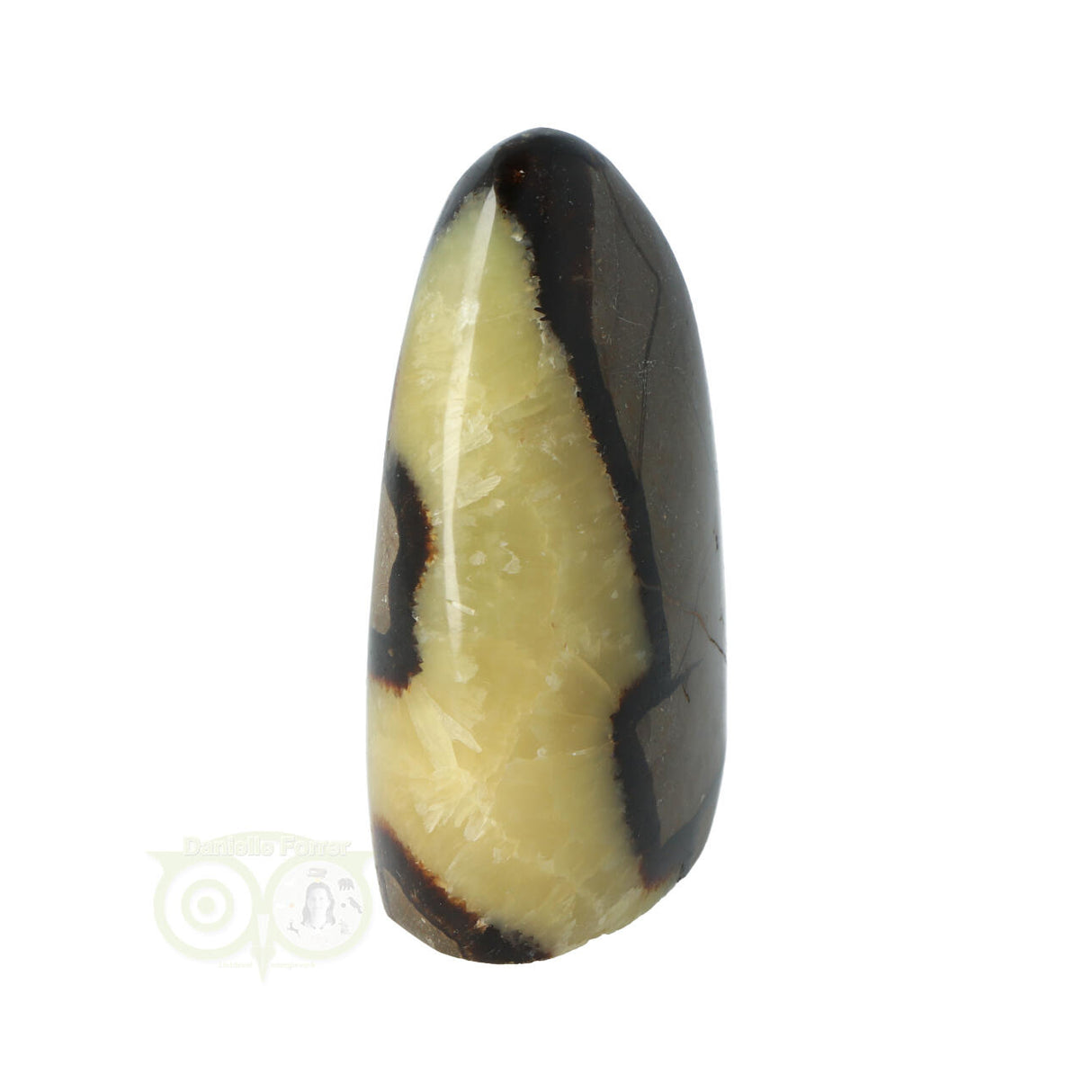 Septarie sculptuur 290 gram