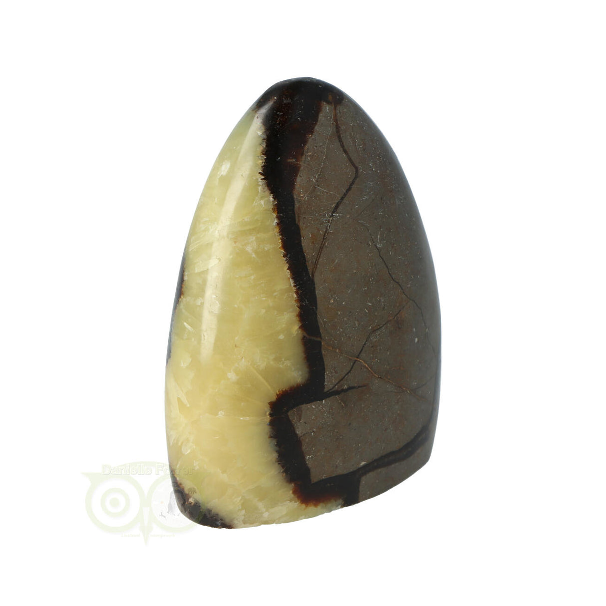 Septarie sculptuur 290 gram