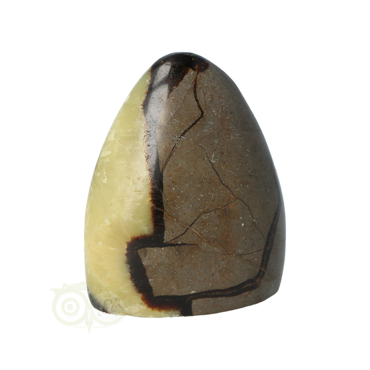 Septarie sculptuur 290 gram