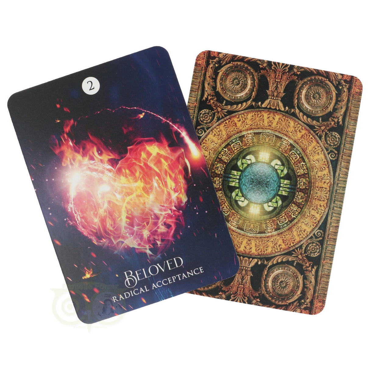 Das Traumorakel des Schamanen – Alberto Villoldo & Colette Baron-Reid