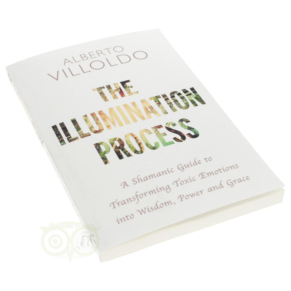 The Illumination process - Alberto Villoldo