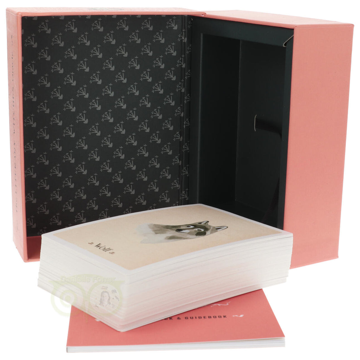 Das Orakel der literarischen Hexen – Taisia Kitaiskaia