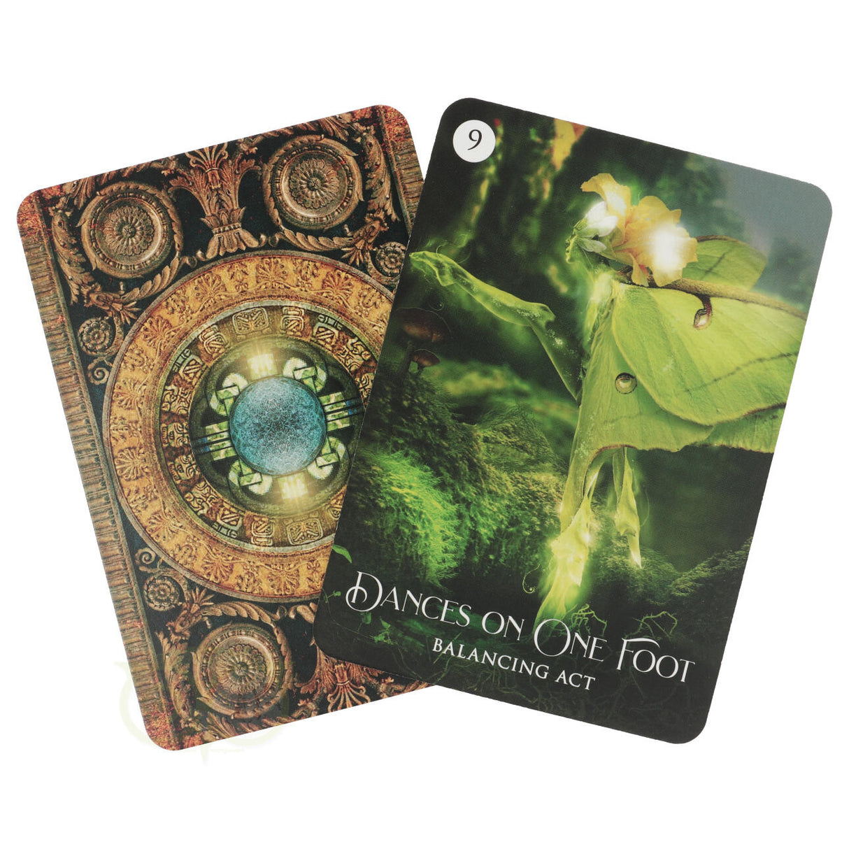 Das Traumorakel des Schamanen – Alberto Villoldo & Colette Baron-Reid