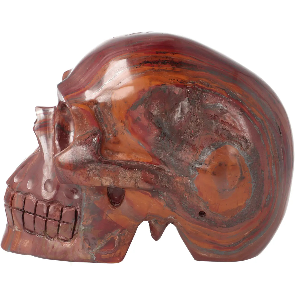 Tiger Iron Skull XL No. 5