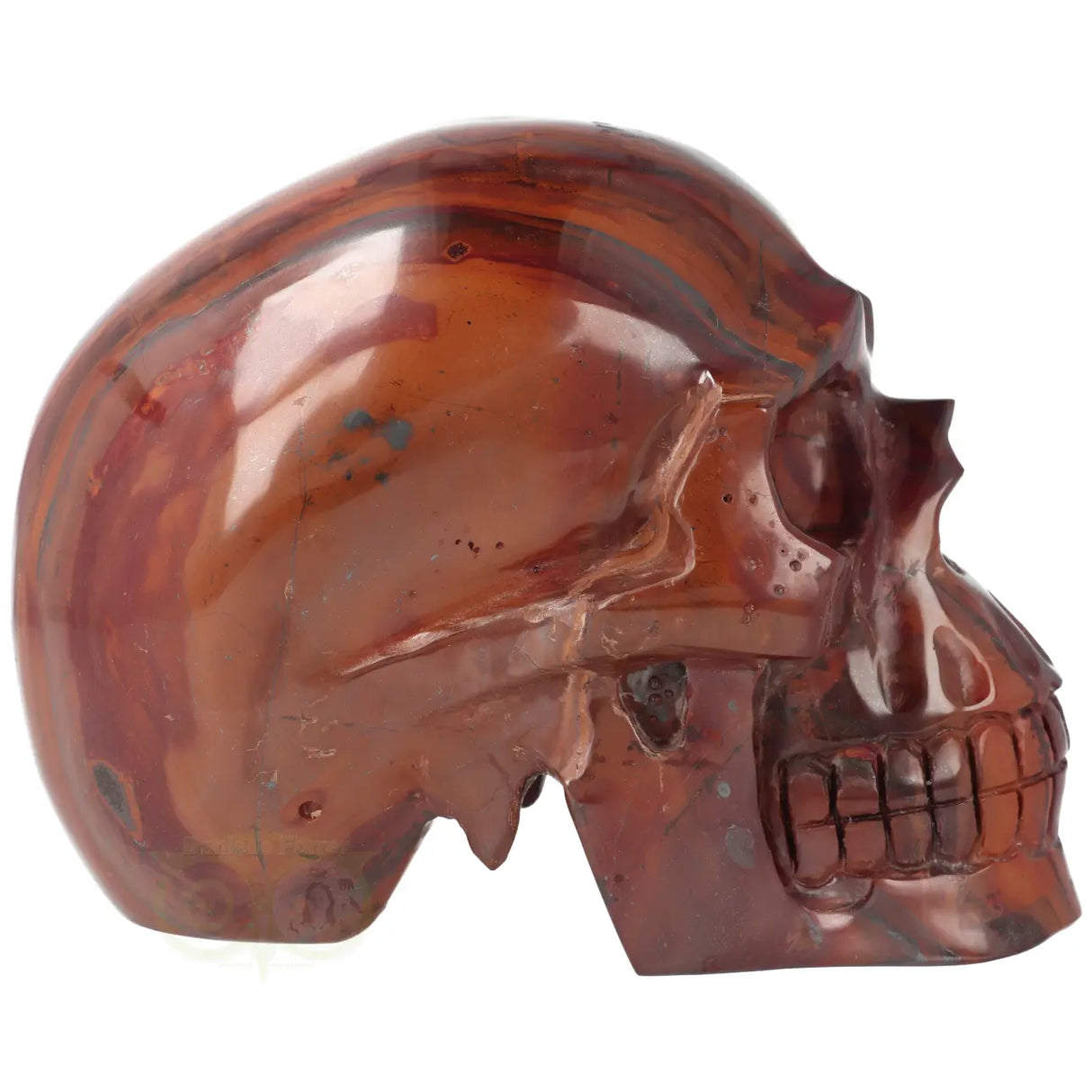 Tiger Iron Skull XL No. 5