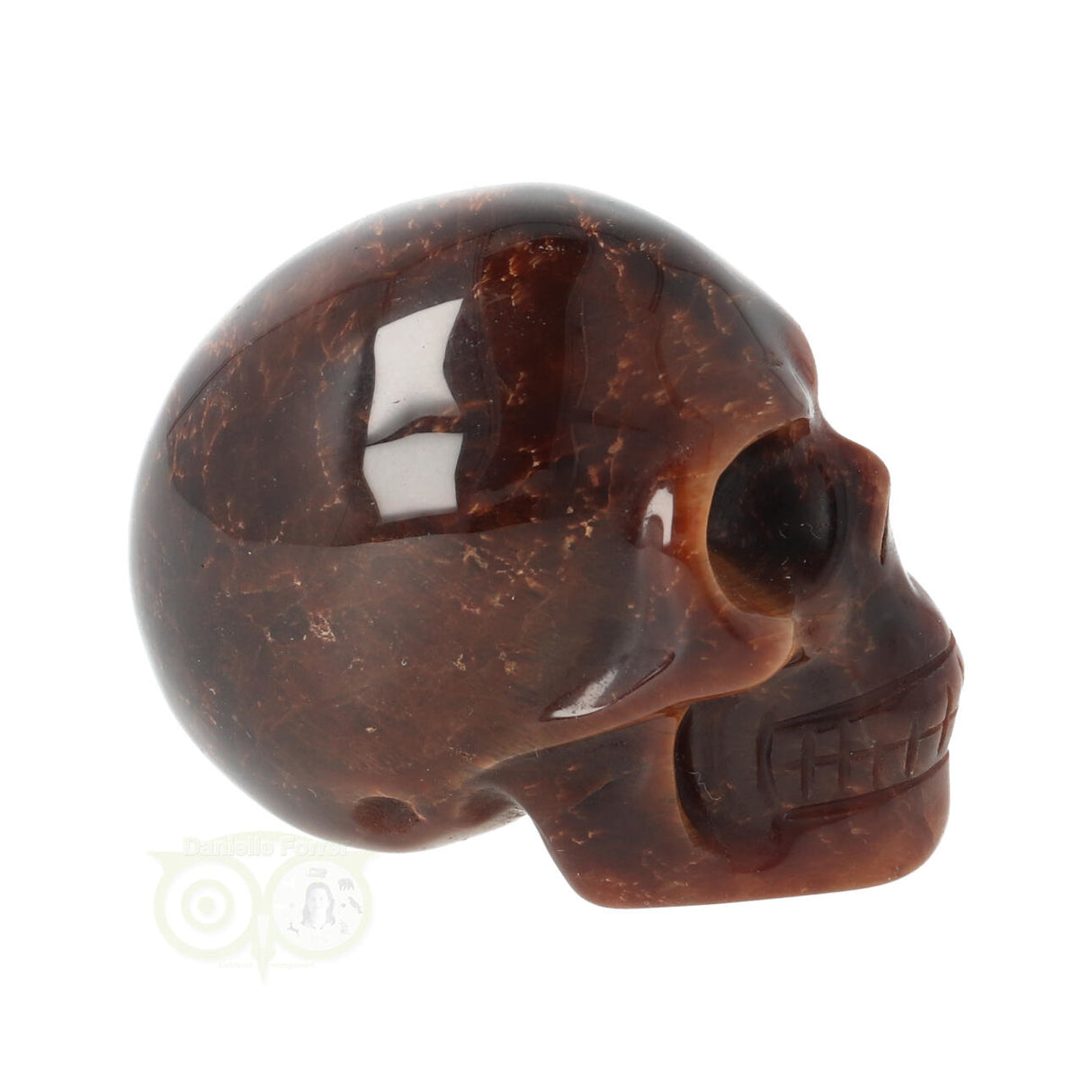 Tijgeroog schedel Nr 15