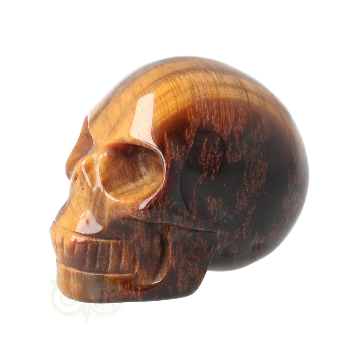 Tijgeroog schedel Nr 15