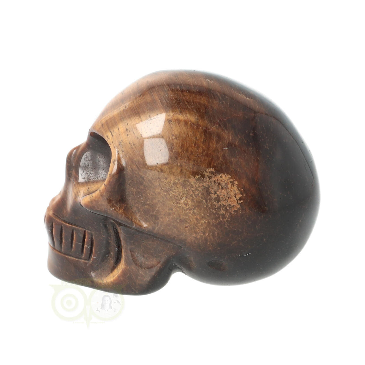 Tiger Eye Skull No. 18