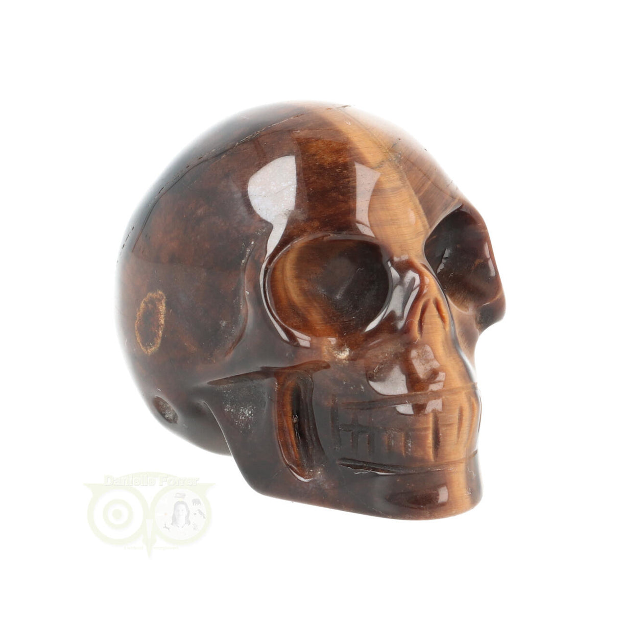 Tijgeroog schedel Nr 19