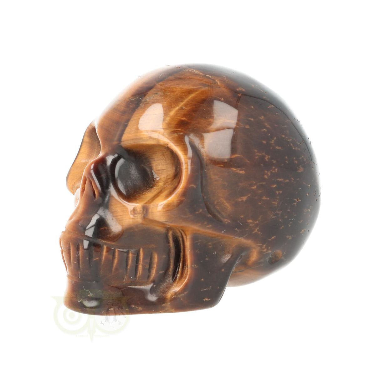 Tijgeroog schedel Nr 19