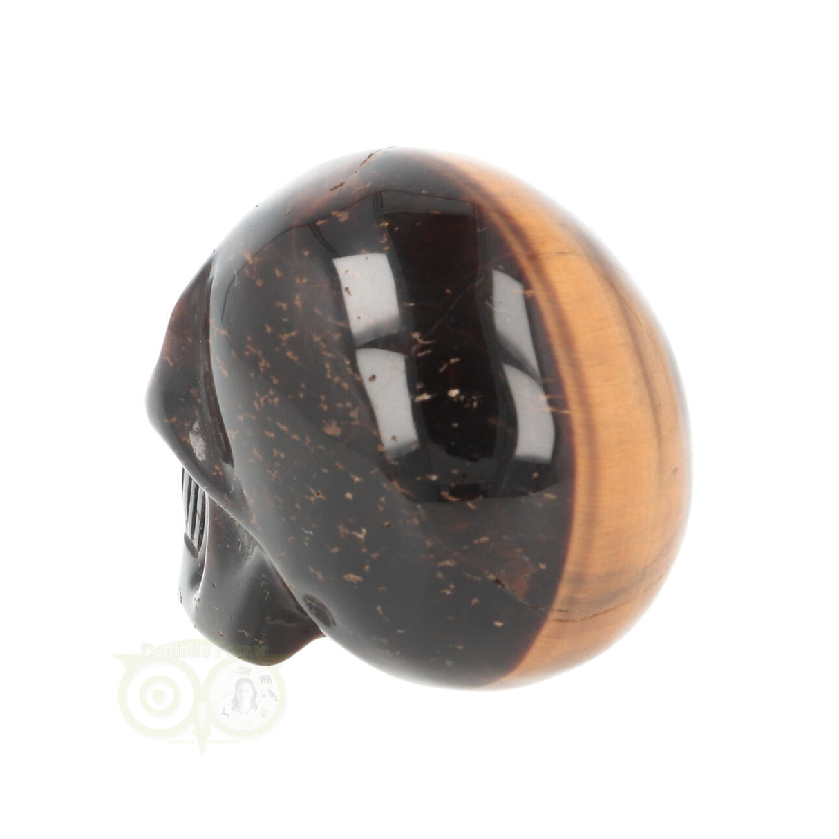 Tijgeroog schedel Nr 19