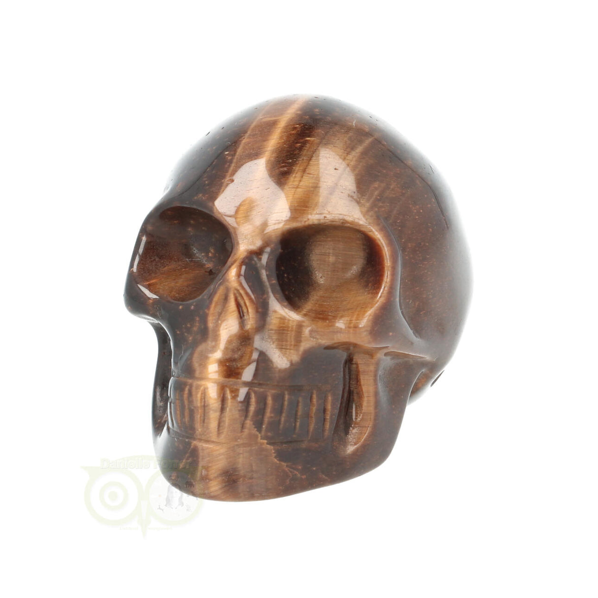 Tijgeroog schedel Nr 20
