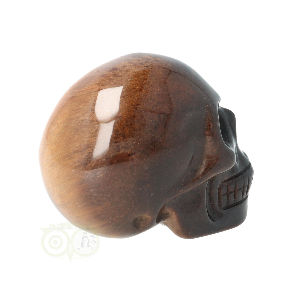 Tijgeroog schedel Nr 4