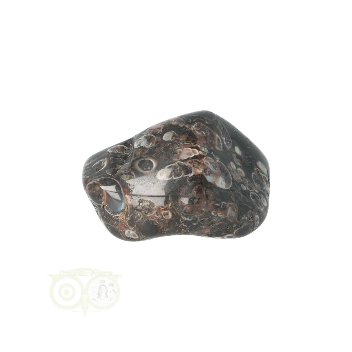 Turitella Agaat trommelsteen Nr 31