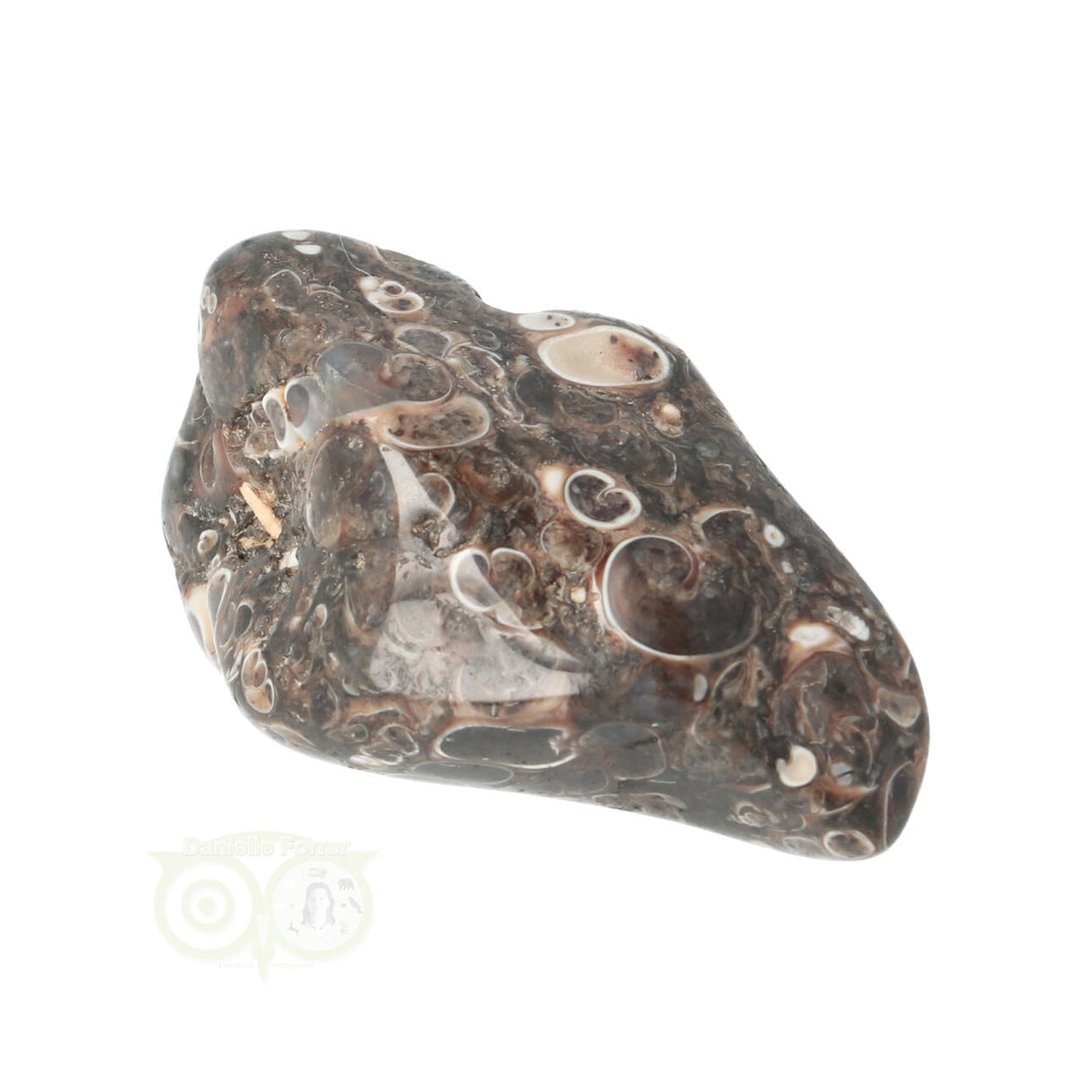 Turitella Agate tumbled stone No. 35