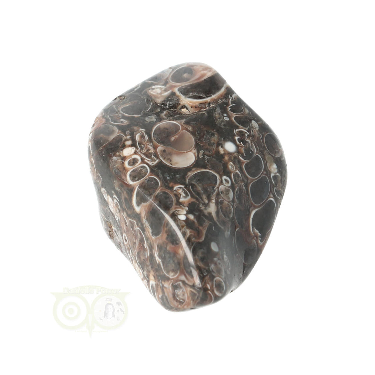 Turitella Agate tumbled stone No. 35