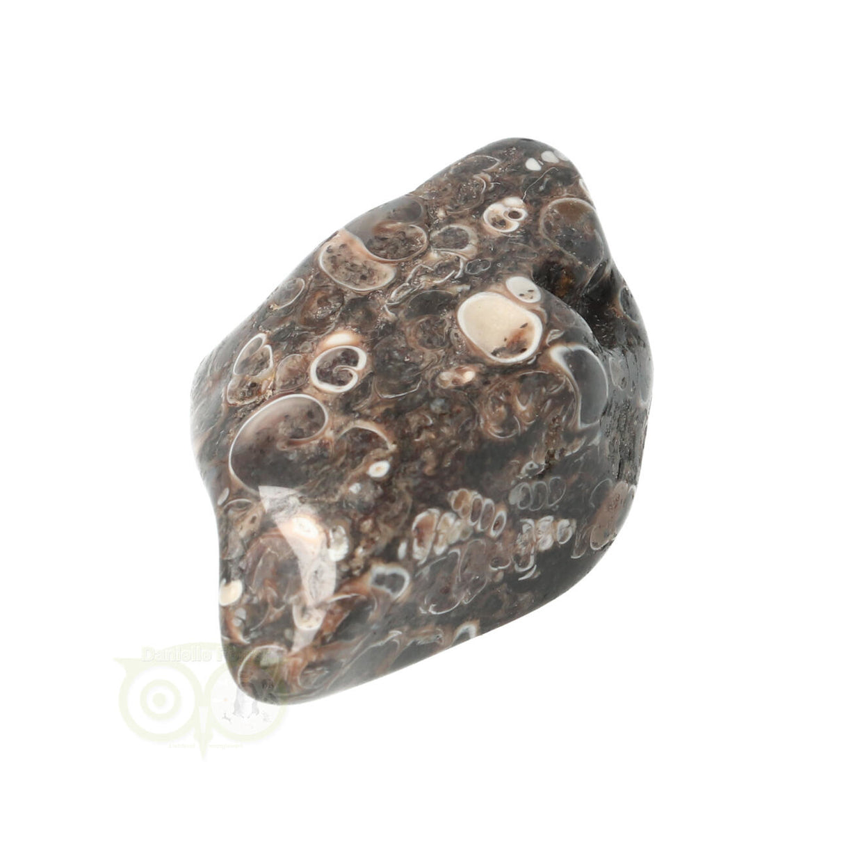 Turitella Agate tumbled stone No. 35