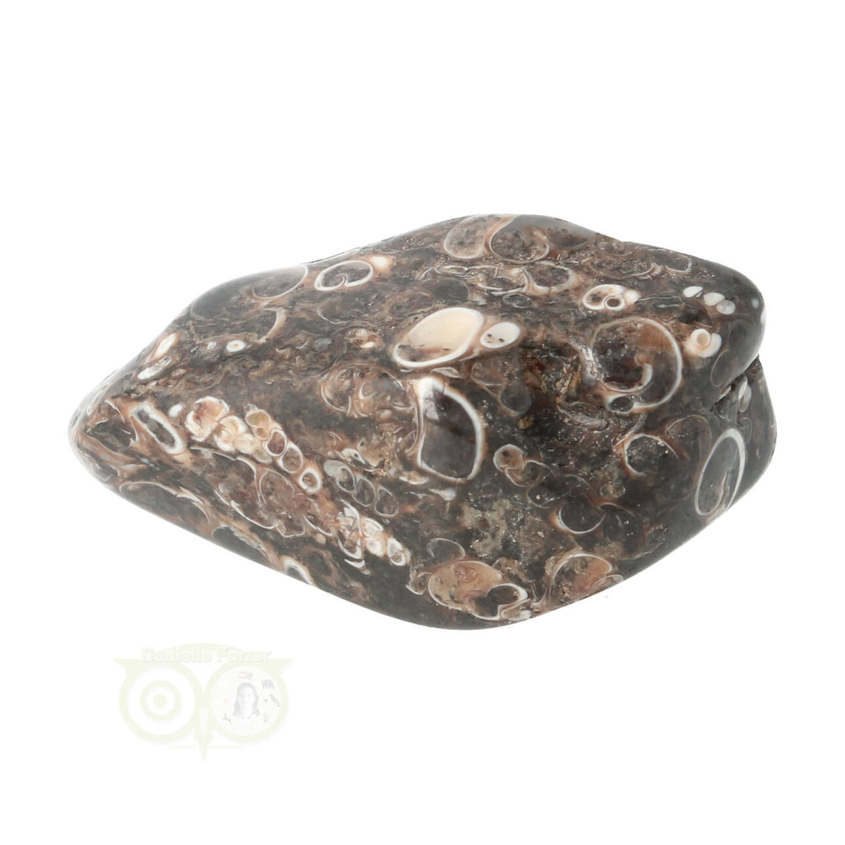 Turitella Agate tumbled stone No. 35