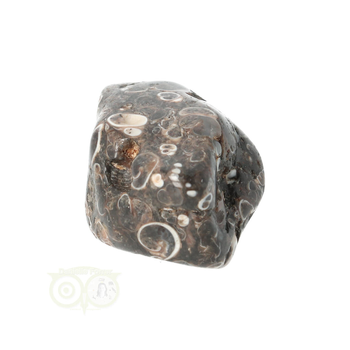 Turitella Agate tumbled stone No. 35