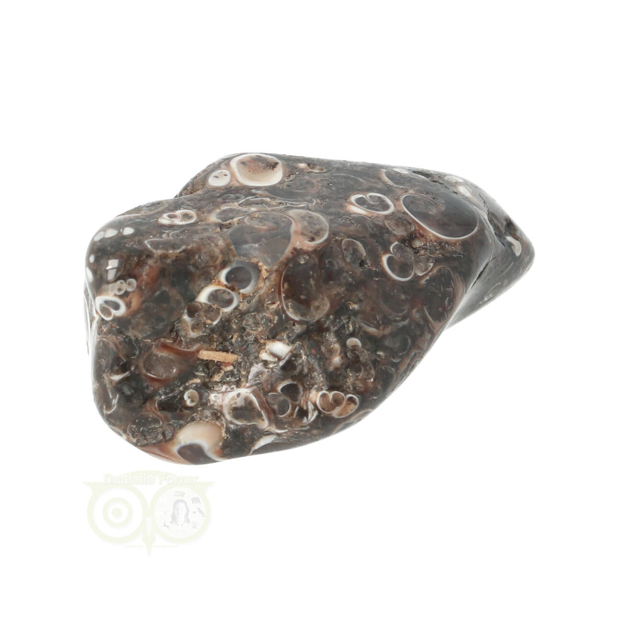 Turitella Agate tumbled stone No. 35