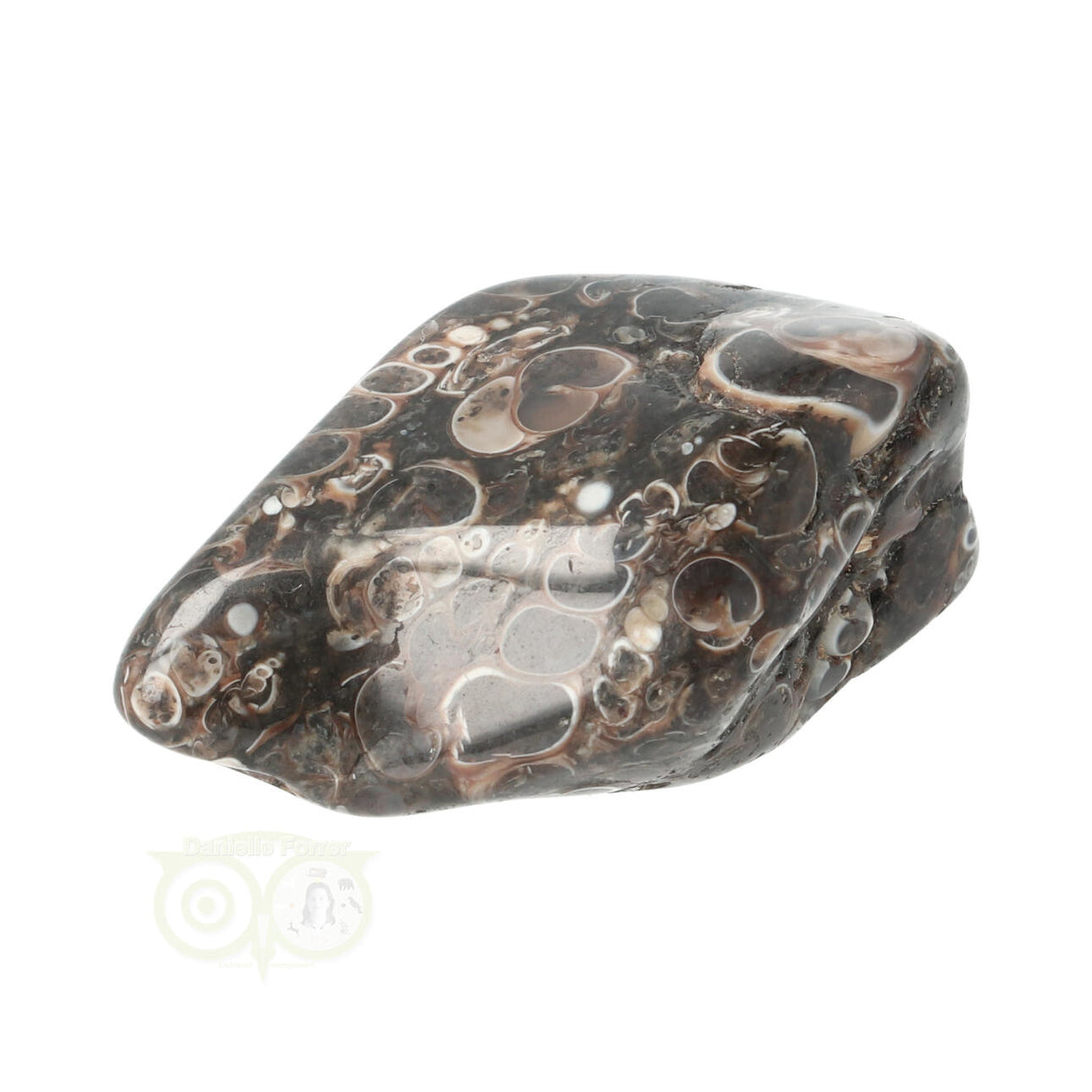 Turitella Agate tumbled stone No. 35