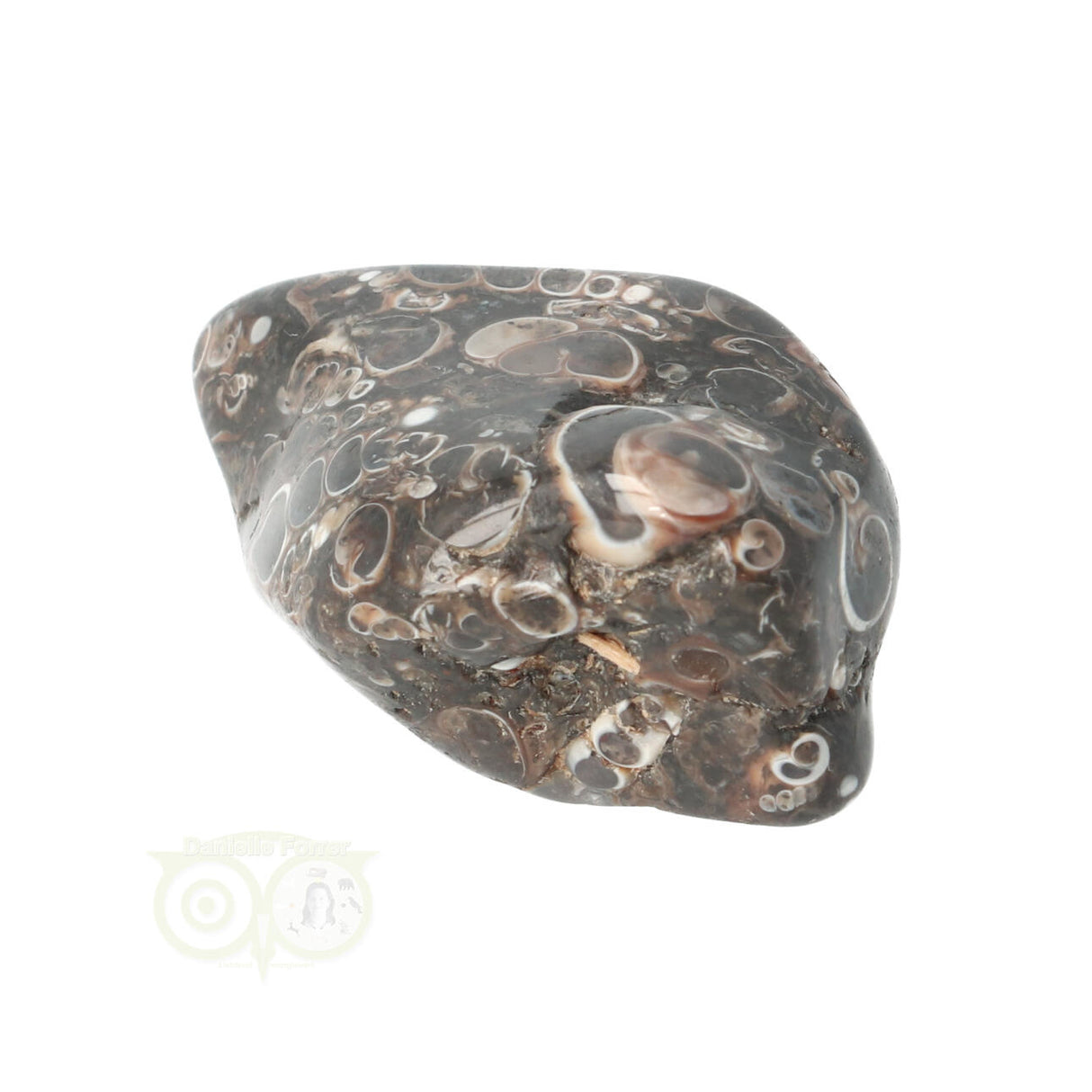 Turitella Agate tumbled stone No. 35