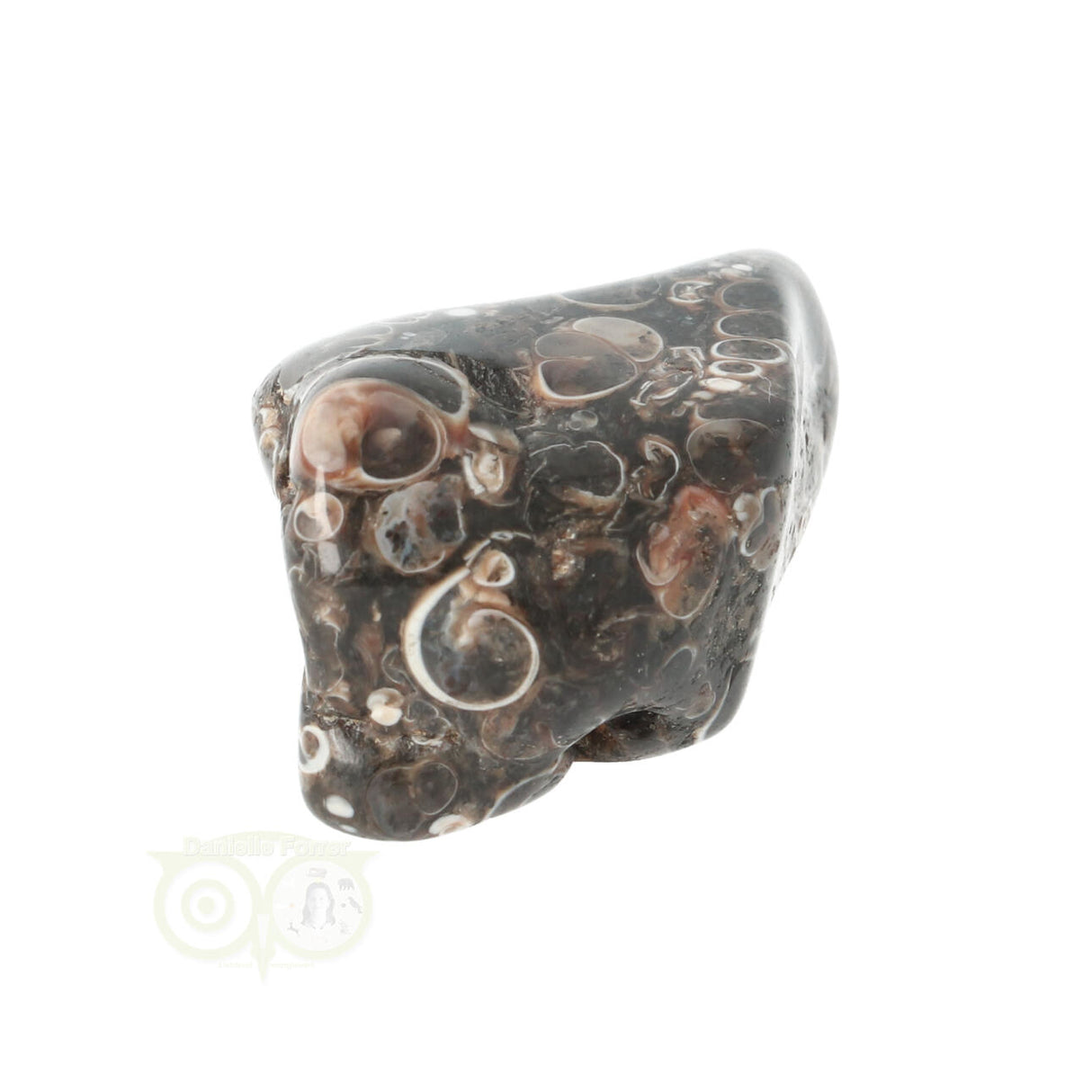 Turitella Agate tumbled stone No. 35