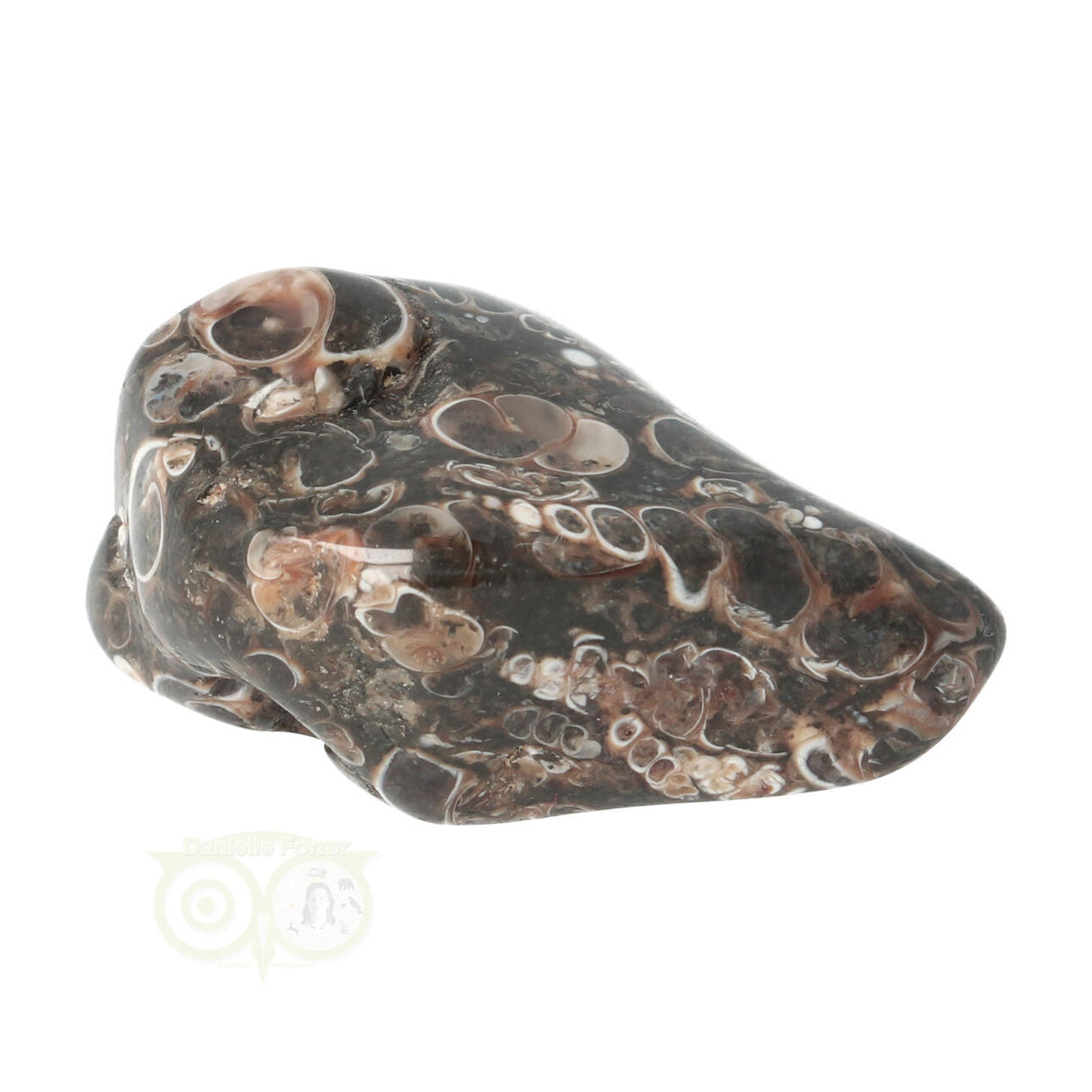 Turitella Agate tumbled stone No. 35