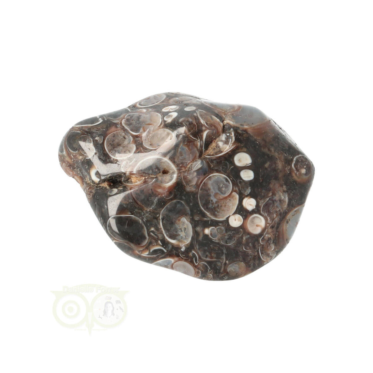 Turitella Agaat trommelsteen Nr 42