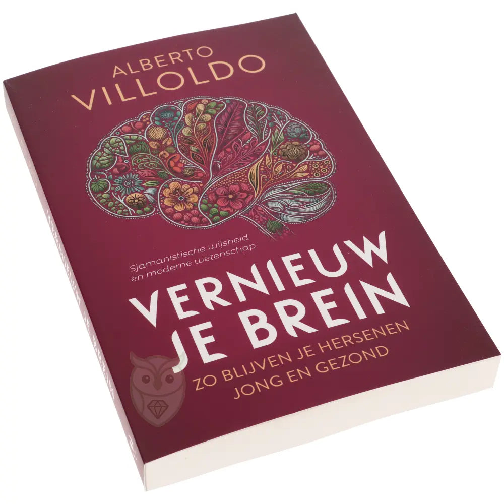 Vernieuw je brein - Alberto Villoldo
