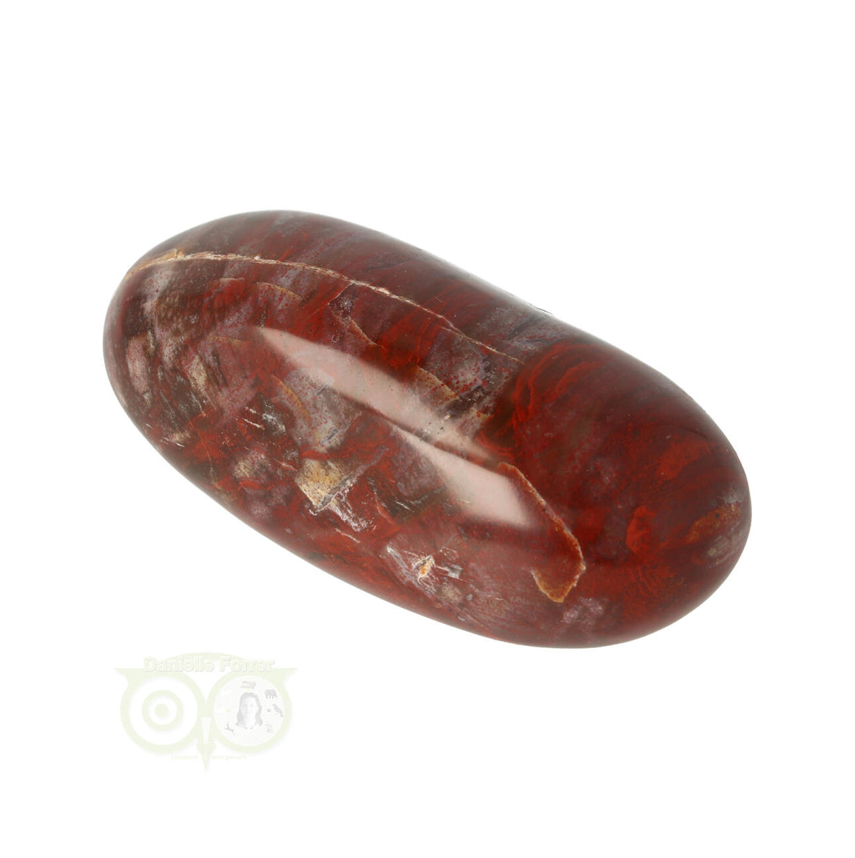 Petrified wood handstone No. 24