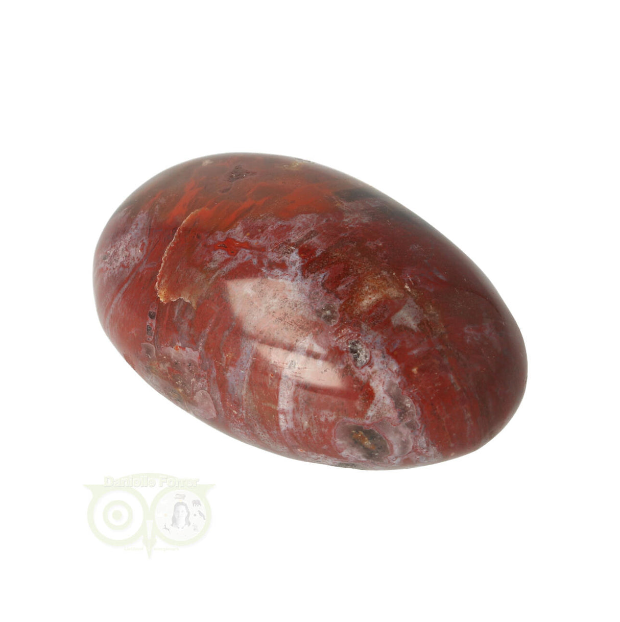 Petrified wood handstone No. 27