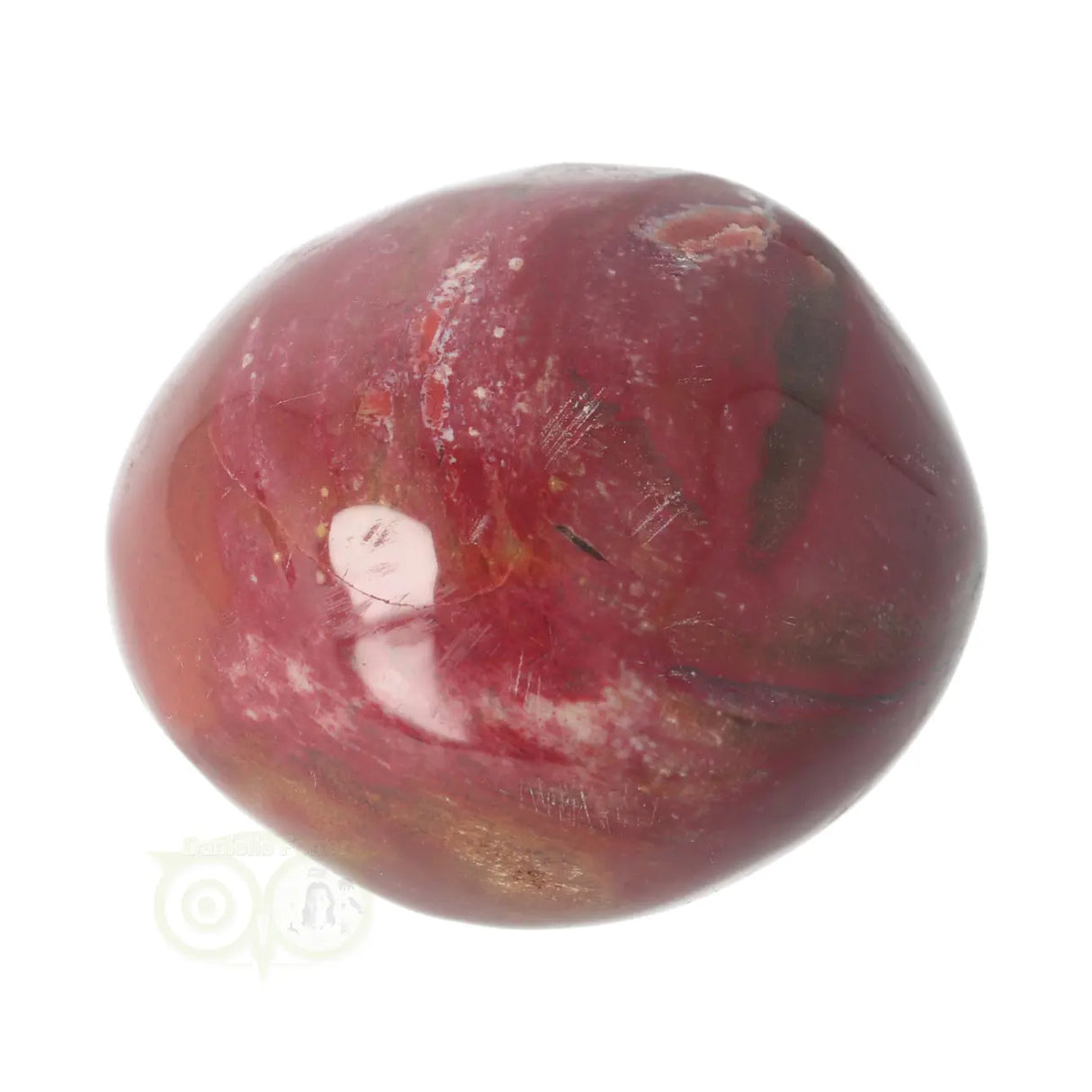 Versteend hout handsteen Nr 35