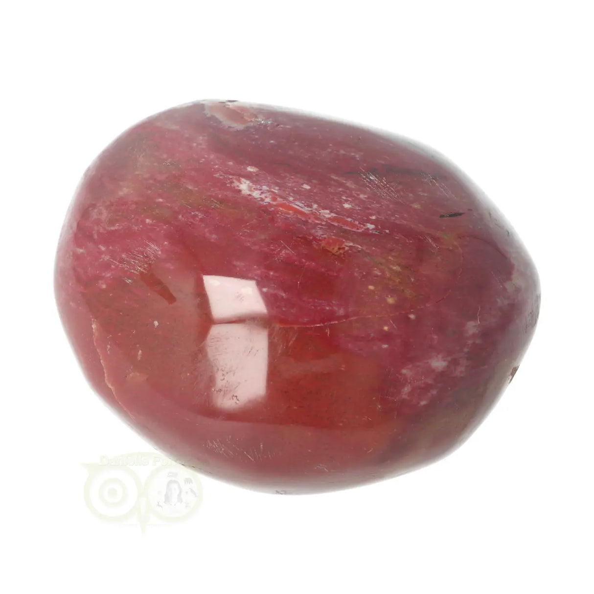 Versteend hout handsteen Nr 35