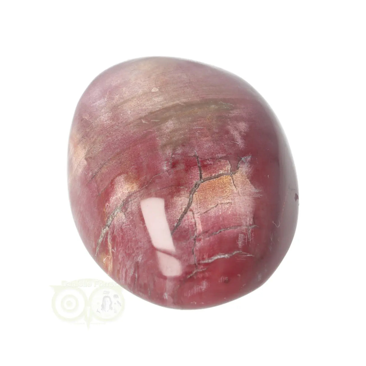 Versteend hout handsteen Nr 36