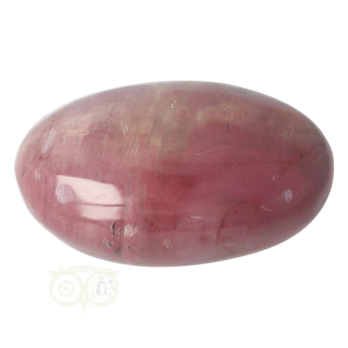 Versteend hout handsteen Nr 36