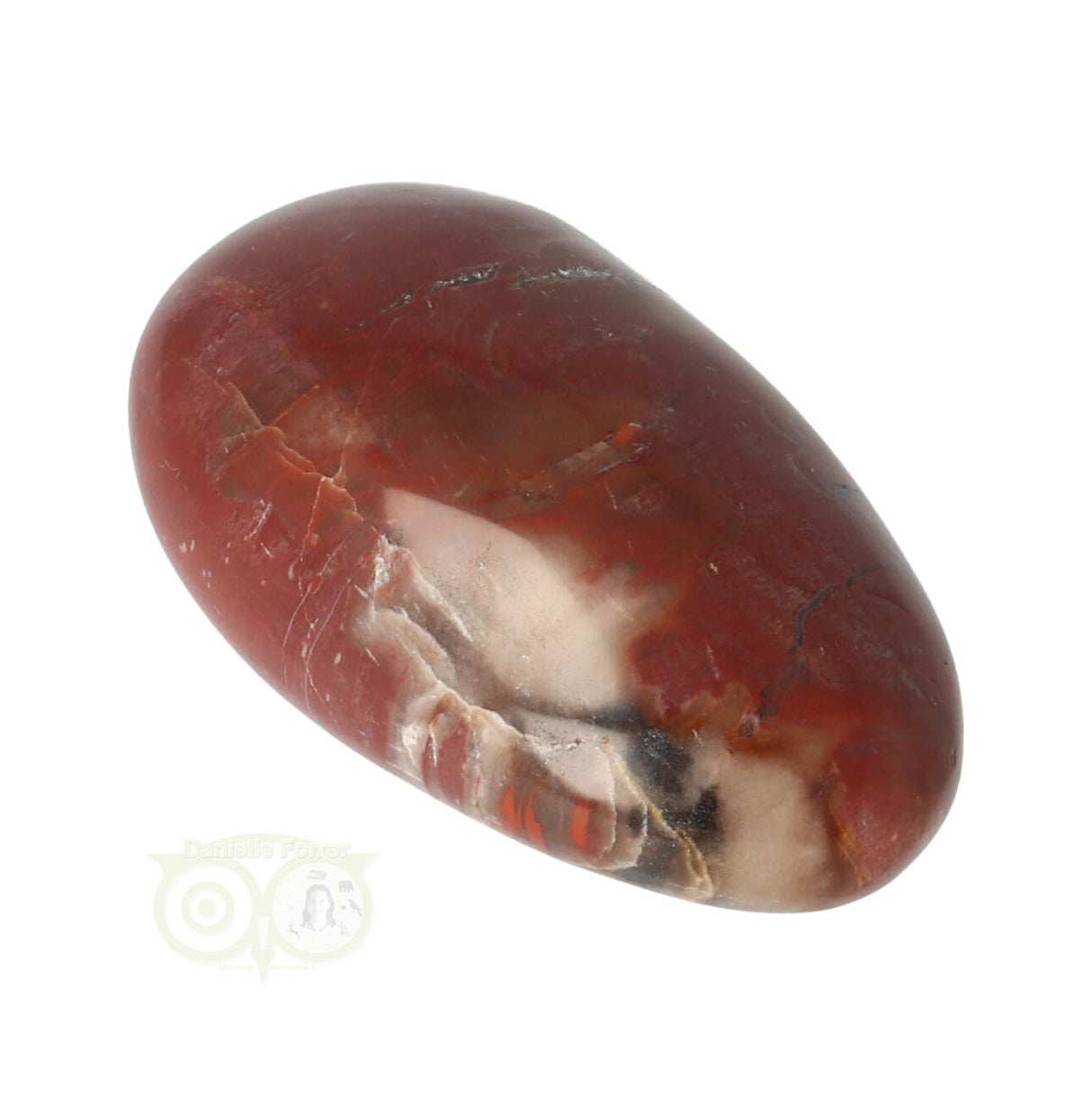 Petrified wood handstone No. 8