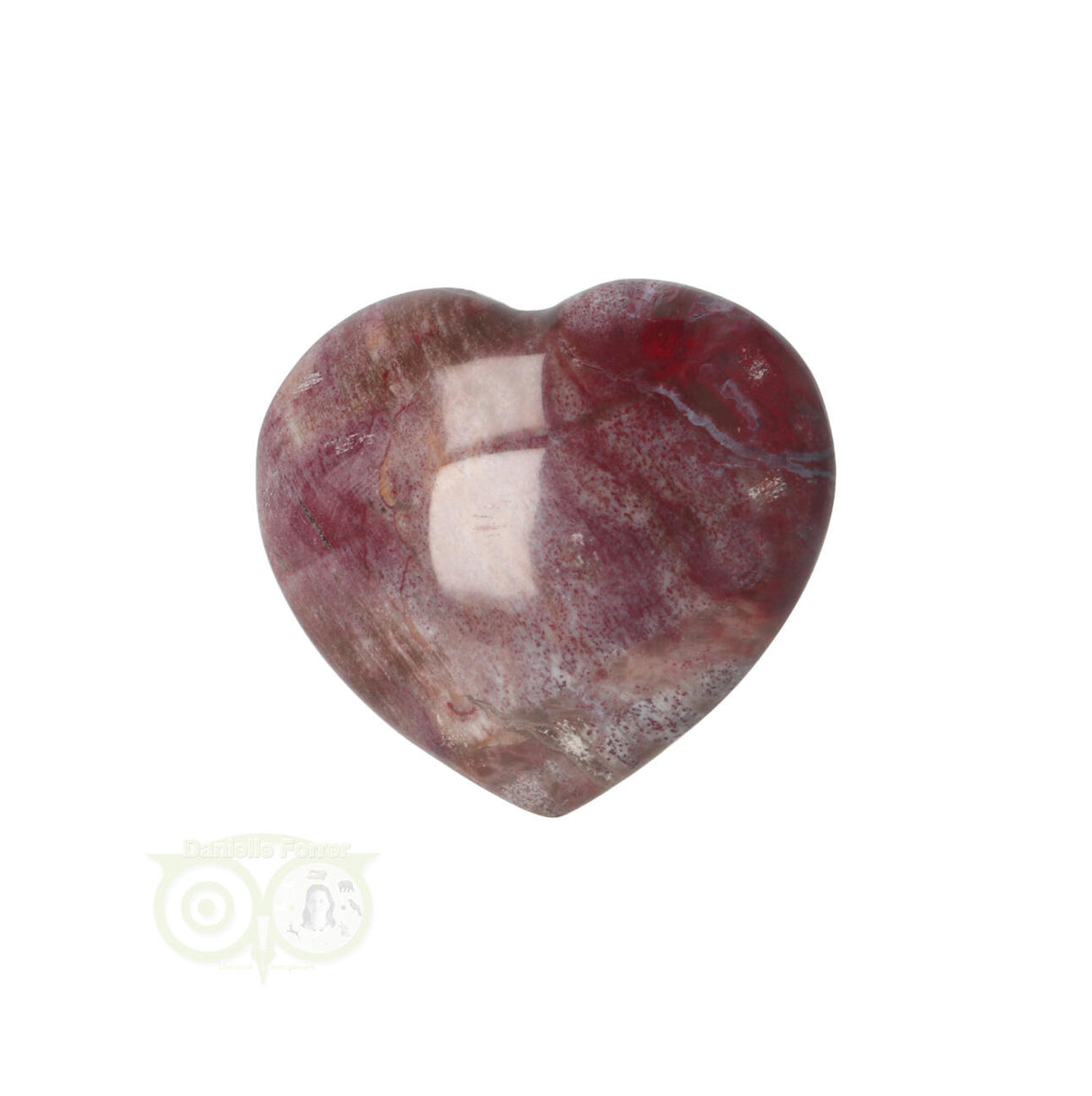 Versteend hout hart ± 3 cm Nr 47