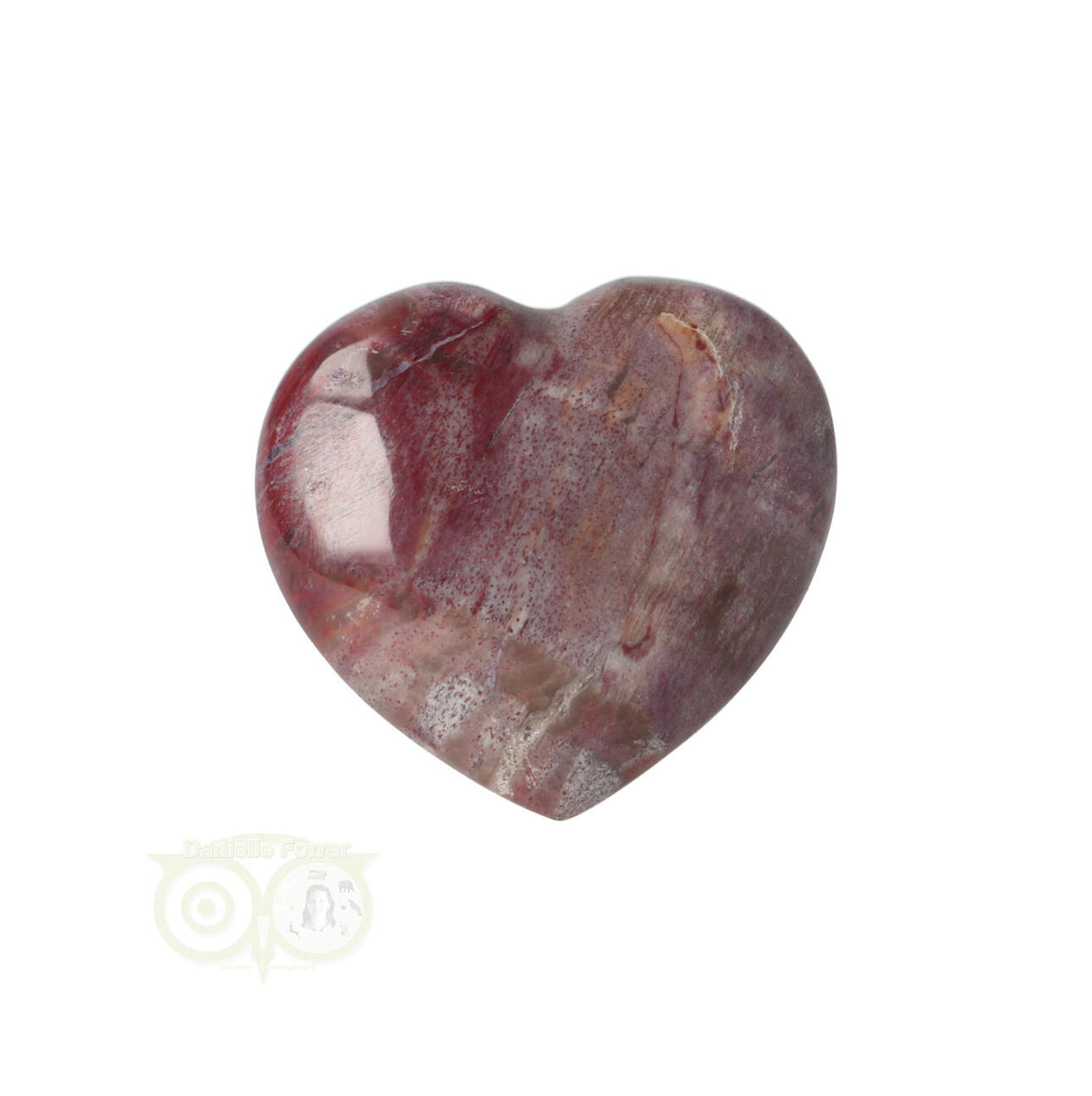 Versteend hout hart ± 3 cm Nr 47