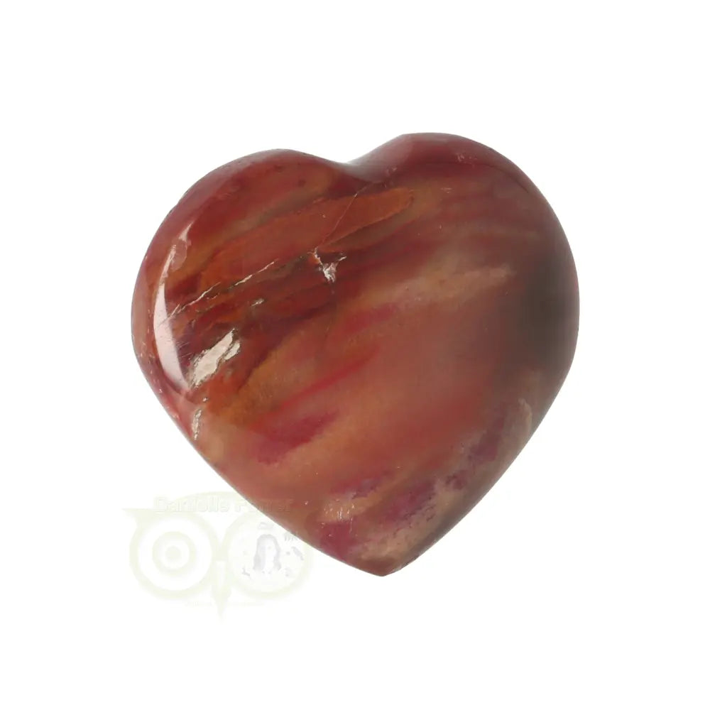 Versteend hout hart ± 3 cm Nr 58