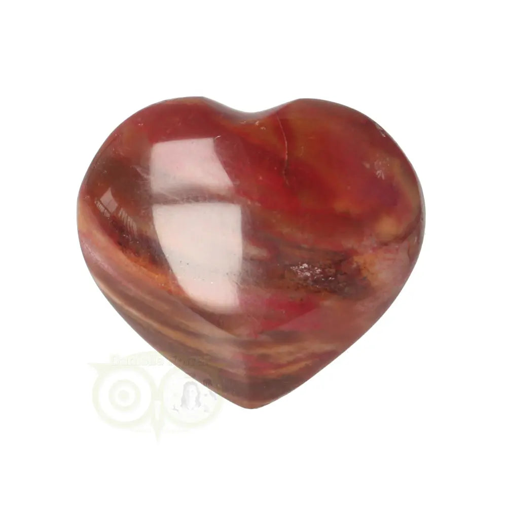 Versteend hout hart ± 3 cm Nr 58