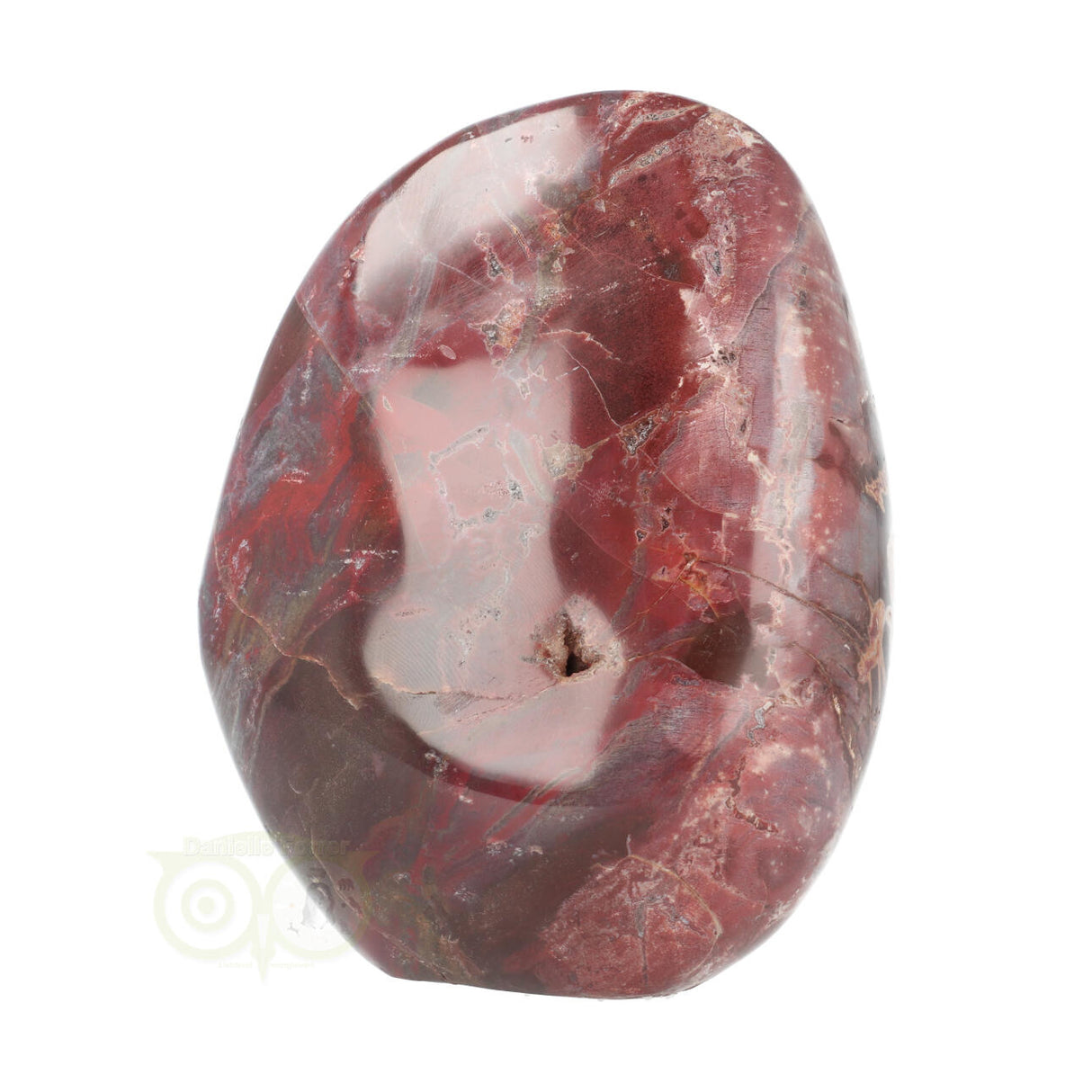 Versteend hout sculptuur nr 18