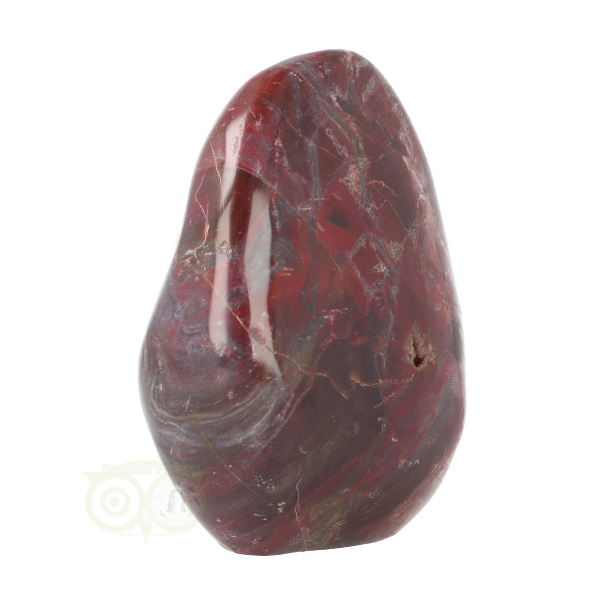 Versteend hout sculptuur nr 18