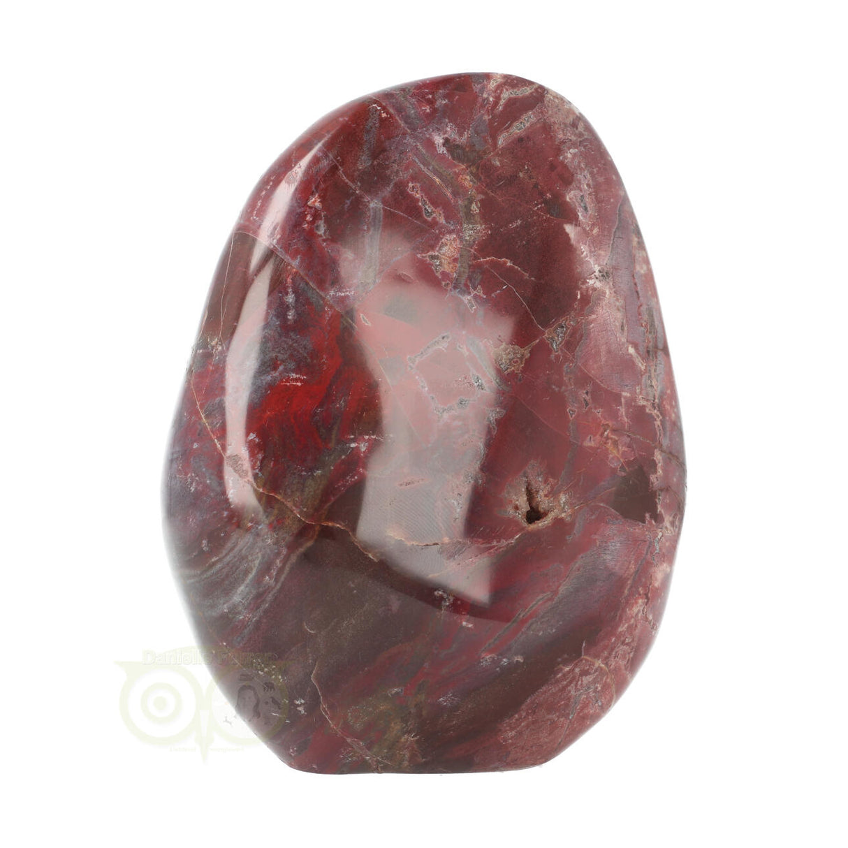 Versteend hout sculptuur nr 18