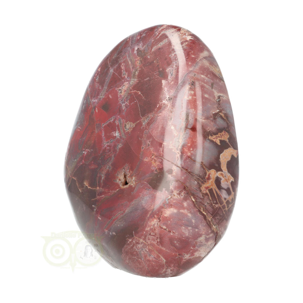 Versteend hout sculptuur nr 18