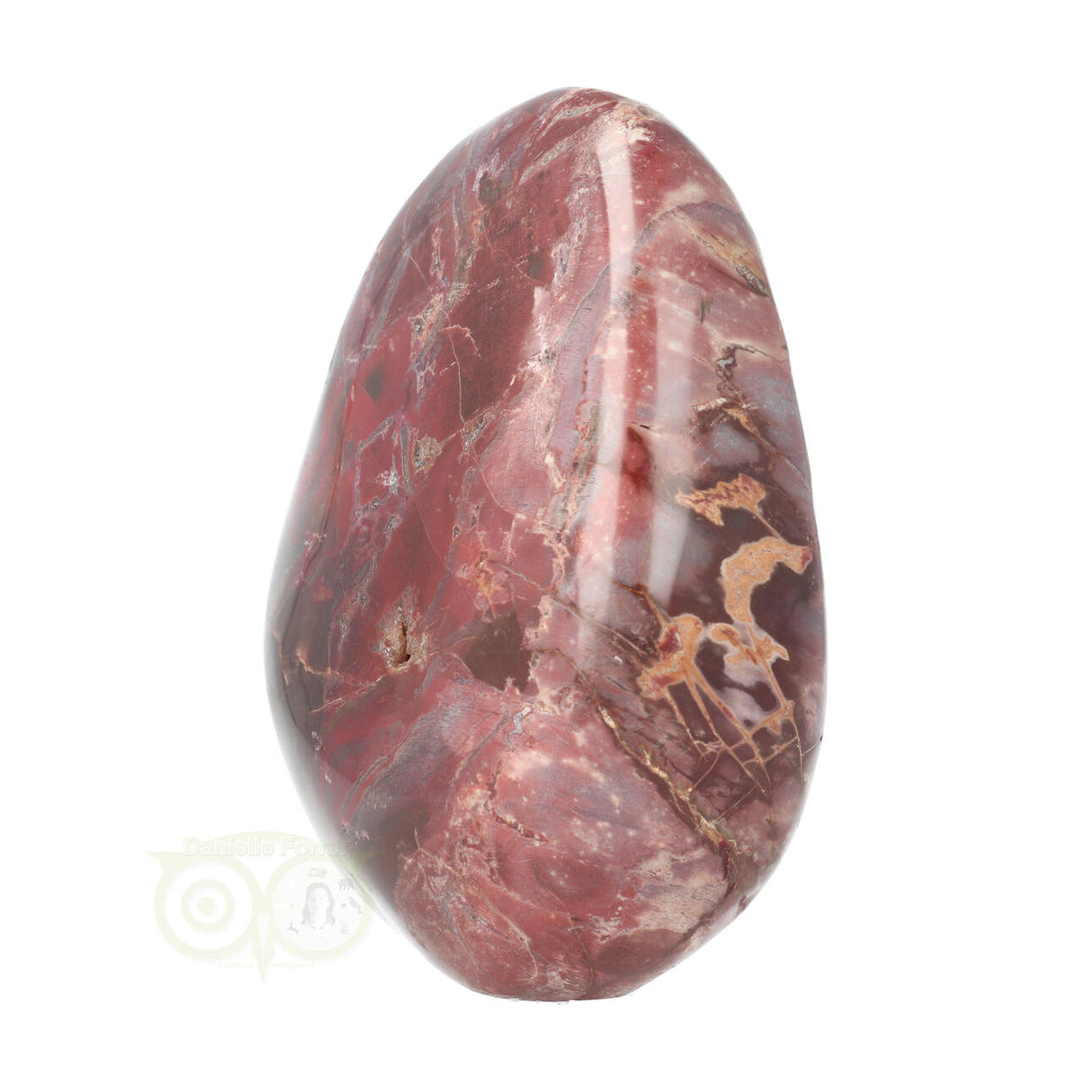 Versteend hout sculptuur nr 18