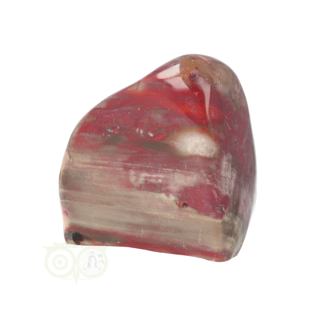 Versteend hout sculptuur nr 23