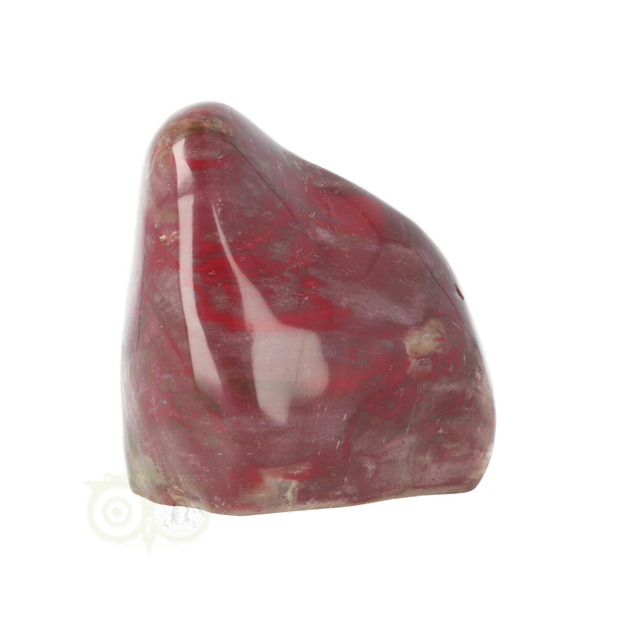 Versteend hout sculptuur nr 23