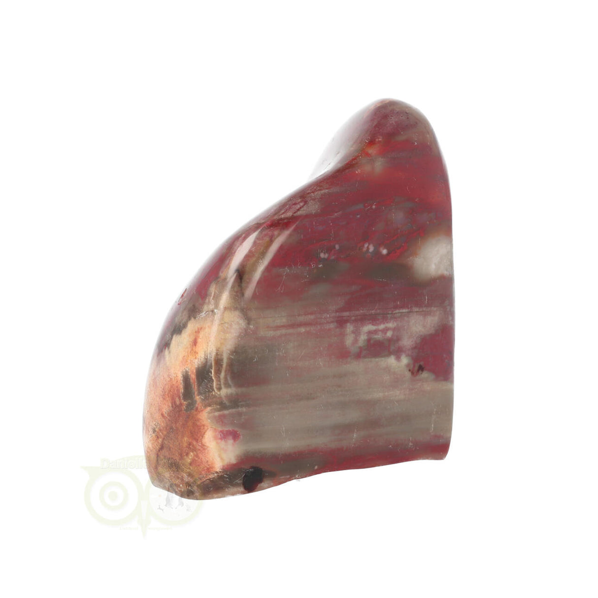 Versteend hout sculptuur nr 23